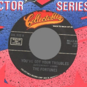 Fortunes - Here It Comes Again / You've Got Your Troubles - 45 - Vinyl - 45''