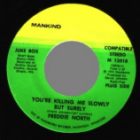 Freddie North - You're Killing Me Slowly But Surely / It's So Groovy Doing What You Want To Do -