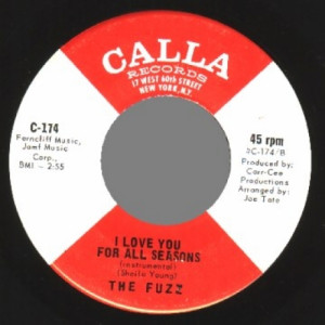 Fuzz - I Love You For All Seasons / Same Instr - 45 - Vinyl - 45''