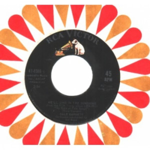 Gale Garnett - We'll Sing In The Sunshine / Prism Song - 45 - Vinyl - 45''