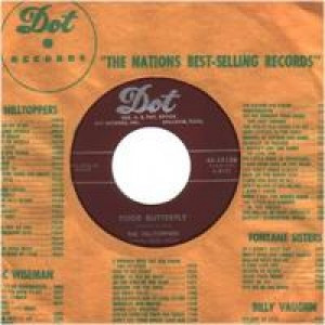 Hilltoppers - Wrapped Up In A Dream / Poor Butterfly - 45 - Vinyl - 45''