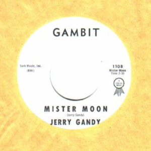 Jerry Gandy - Mister Moon / You Better Take Me Home - 45 - Vinyl - 45''