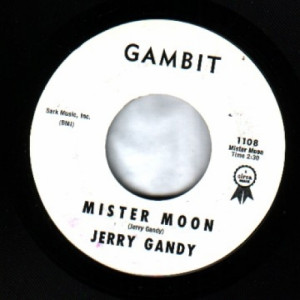 Jerry Gandy - You Better Take Me Home / Mister Moon - 45 - Vinyl - 45''