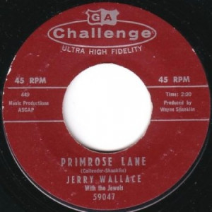 Jerry Wallace - Primrose Lane / By Your Side - 45 - Vinyl - 45''
