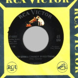 Jim Reeves - Pride Goes Before A Fall / I'm Gonna Change Everything - 45