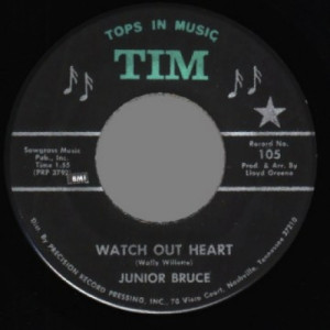 Junior Bruce - I'm Crazy For You / Watch Out Heart - 45 - Vinyl - 45''