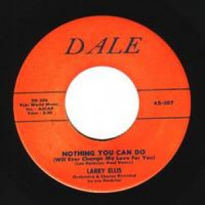 Larry Ellis - Buzz Goes The Bee / Nothing You Can Do - 45 - Vinyl - 45''