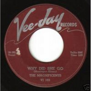 Magnificents - Up On The Mountain / Why Did She Go - 45 - Vinyl - 45''