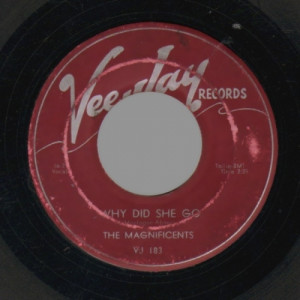 Magnificents - Up On The Mountain / Why Did She Go - 7