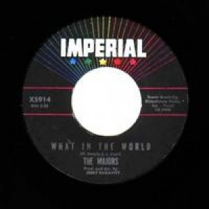 Majors - What In The World / Anything You Can Do - 45 - Vinyl - 45''