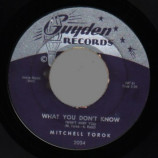 Mitchell Torok - Pink Chiffon / What You Don't Know - 45