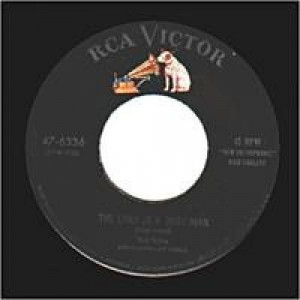 Nan Wynn - Hands Off / The Lord Is A Busy Man - 45 - Vinyl - 45''