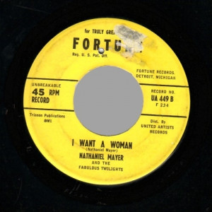 Nathaniel Mayer & the Fabulous Twilights - Village of Love / I Want A Woman - 45 - Vinyl - 45''