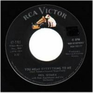 Neil Sedaka - Run Samsom Run / You Mean Everything To Me - 45 - Vinyl - 45''