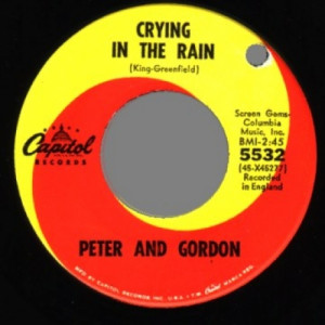 Peter & Gordon - Don't Pity Me / Crying In The Rain - 45 - Vinyl - 45''
