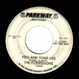 Possessions - You And Your Lies / No More Love - 45