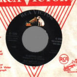 Ray Hartley - Chanson D' Amour / Beautiful Love - 45