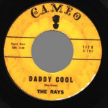 Rays - Silhouettes / Daddy Cool - 45