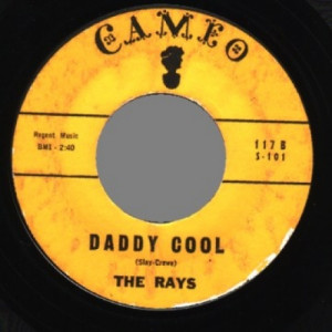 Rays - Silhouettes / Daddy Cool - 45 - Vinyl - 45''