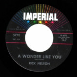 Rick Nelson - Everlovin' / A Wonder Like You - 45