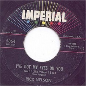 Rick Nelson - Teen Age Idol / I've Got My Eyes On You - 45 - Vinyl - 45''