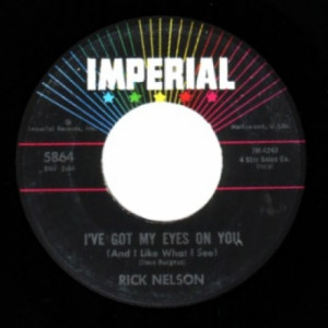 Rick Nelson - Teen Age Idol / I've Got My Eyes On You - 45 - Vinyl - 45''