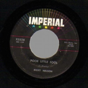 Ricky Nelson - Don't Leave Me His Way / Poor Little Fool - 45 - Vinyl - 45''