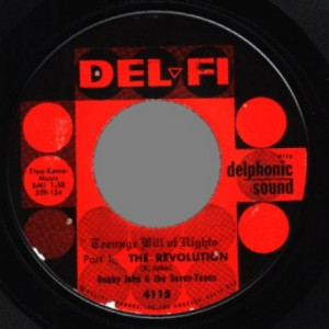 Robby John & The Seven-teens - Teenage Bill Of Rights : The Revolution / The Constitution - 45 - Vinyl - 45''