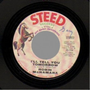 Robin Mcnamara - Lay A Little Lovin' On Me / I'll Tell You Tomorrow - 45 - Vinyl - 45''