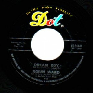 Robin Ward - Wonderful Summer / Dream Boy - 45 - Vinyl - 45''