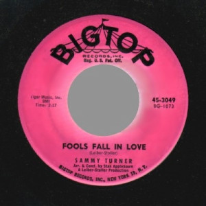 Sammy Turner - Fools Fall In Love / Stay My Love - 45 - Vinyl - 45''
