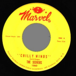Seekers - Chilly Winds / Light From The Lighthouse - 45 - Vinyl - 45''