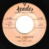 Shields - That's The Way It's Gonna Be / You Cheated - 45