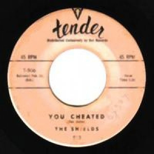 Shields - That's The Way It's Gonna Be / You Cheated - 45 - Vinyl - 45''