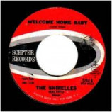 Shirelles - Mama, Here Comes The Bride / Welcome Home Baby - 45