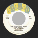 Skyliners - Since I Don't Have You / One Night, One Night - 7