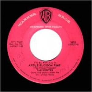 Tab Hunter - Apple Blossom Time / My Only Love - 45 - Vinyl - 45''