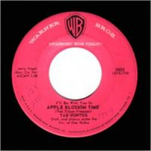 Tab Hunter - My Only Love / Apple Blossom Time - 45 - Vinyl - 45''