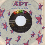 Ted Taylor - My Days And Nights Are So Blue / Little Things Mean A Lot - 45