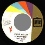 Terry Black - Unless You Care / Can't We Go - 45