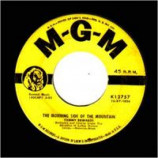 Tommy Edwards - The Morning Side Of The Mountain / Please Mr. Sun - 45