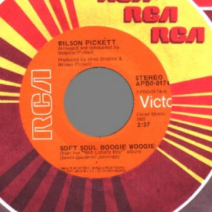 Wilson Pickett - Take That Pollution Out Your Throat / Soft Soul Boogie Woogie - 45 - Vinyl - 45''