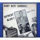  Detroit Blues ! 1949 To 1954
