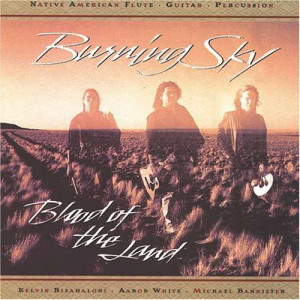 Burning Sky - Blood Of The Land [Audio CD] - Audio CD - CD - Album