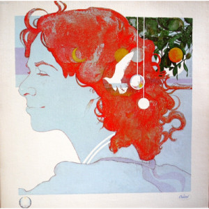 Carole King - Simple Things - LP - Vinyl - LP