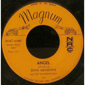 Dave Meadows And The Neanderthals - I Don't See Stars In Your Eyes / Angel - 7 Inch 45 RPM - Vinyl - 7"