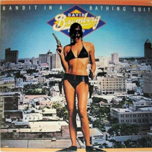 David Bromberg - Bandit In A Bathing Suit [Record] - LP - Vinyl - LP