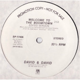 David & David - Welcome To The Boomtown [Vinyl] - 12 Inch 33 1/3 RPM
