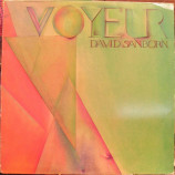 David Sanborn - Voyeur [Record] David Sanborn - LP