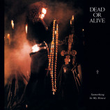 Dead Or Alive - Something In My House - LP
